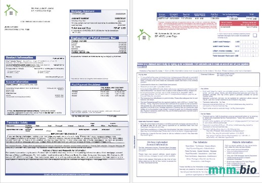Togo Financial Bank wyciąg z kredytu hipotecznego w formatach Word i PDF, 3 strony